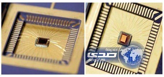 مدينة "العلوم والتقنية" تنال 6 براءات اختراع أمريكية