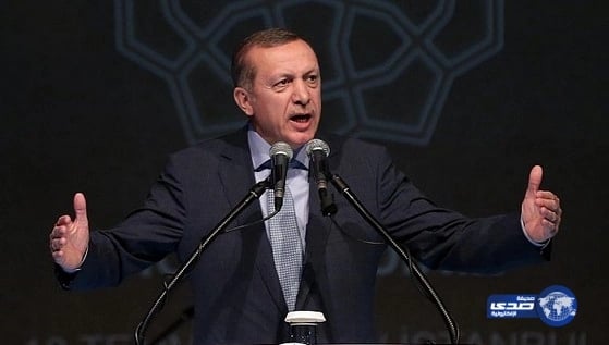 مصر مستاءة من تصريحات أردوغان