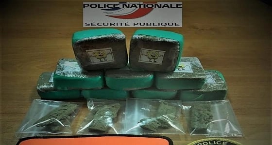 حشيش " سبونج بوب " يلقى رواجا واسعا