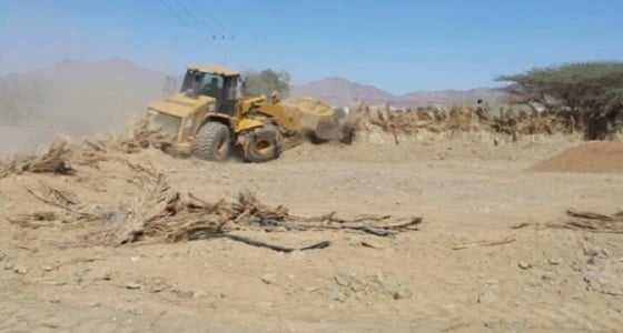 بالصور.. إزالة تعديات بمساحة 35000م في المدينة المنورة