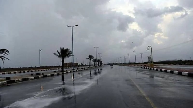 العقيل: شهر أبريل ذروة الأمطار ..فيديو