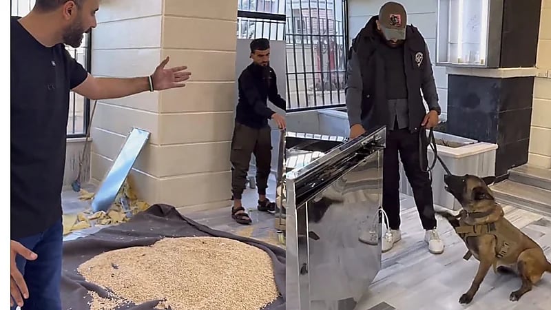 إحباط محاولة تهريب مخدرات من سوريا عبر معبر نصيب.. فيديو