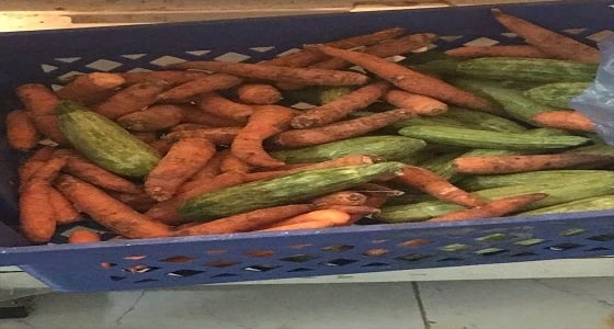 بالصور.. إغلاق 10 مطاعم ومصادرة 26 كيلو من اللحوم بالرياض