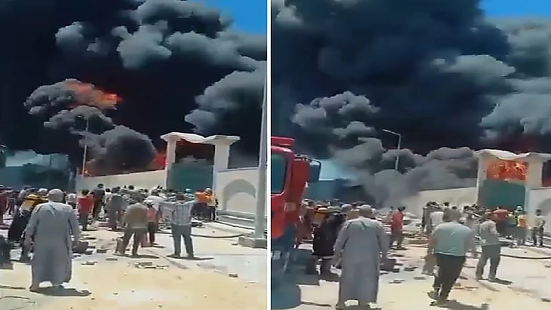 اندلاع حريق ضخم بمصنع في مصر.. فيديو
