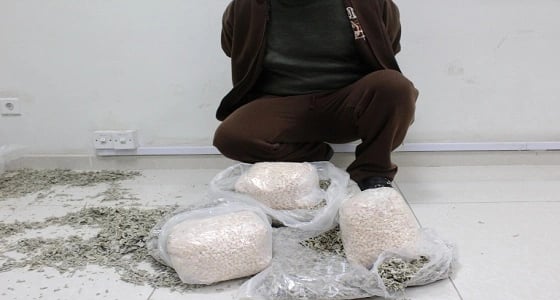 جمرك حالة عمار يحبط محاولة تهريب قرابة 40 ألف حبة كبتاجون