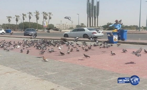 القبض على شاب تركي طعن جيرانه المصريين بسبب مباراة الفراعنة والسنغال