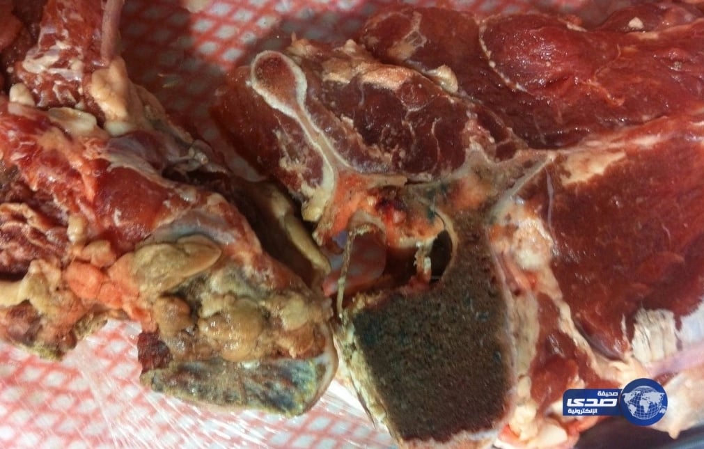 مشاعل الشحي تجهض في الشهر الرابع من حملها