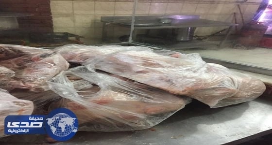 مصادرة 900 كيلو لحوم مذبوحة عشوائيا بمكة