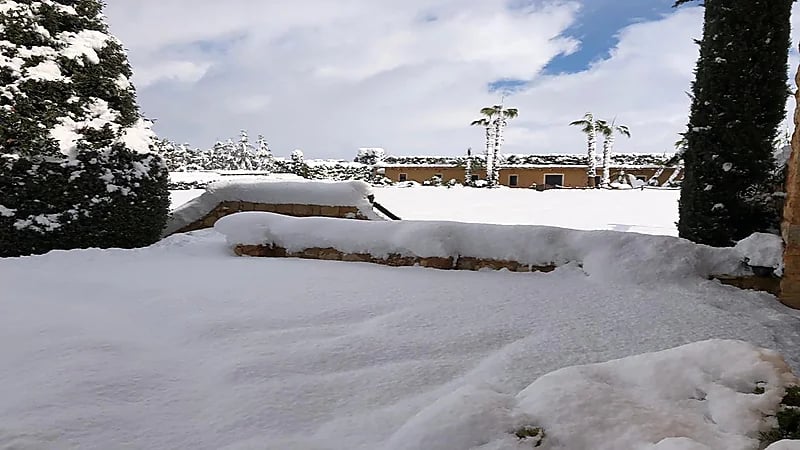 شاهد.. عاصي الحلاني يشارك جماهيره صوراً من داخل مزرعته