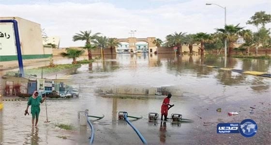 بالفيديو.. شابان يطاردان «ذئب» شارد بحي السلمانية بسكاكا