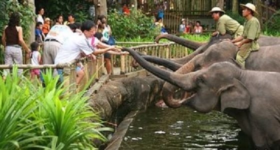 نسيان أم وأطفالها الثلاثة في حديقة حيوان بالخطأ