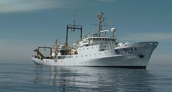 تحذير دولي من مخاطر مليشيات الحوثي الإيرانية على الملاحة البحرية