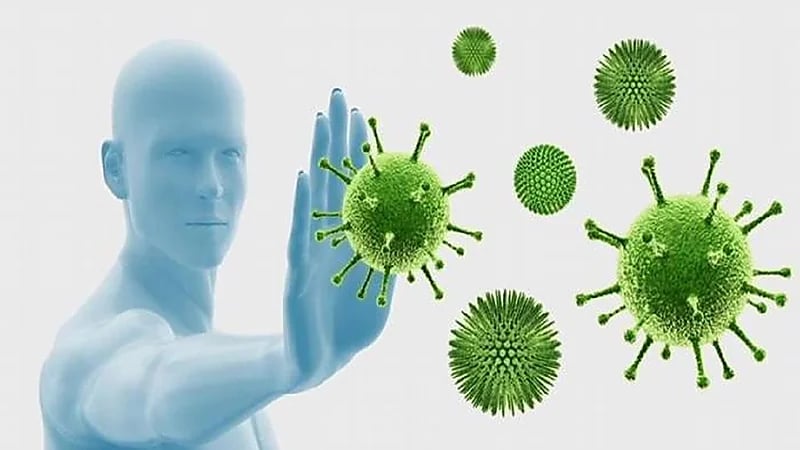 "الصحة الخليجي" يكشف معلومات مغلوطة حول استخدام الأعشاب لتقوية المناعة