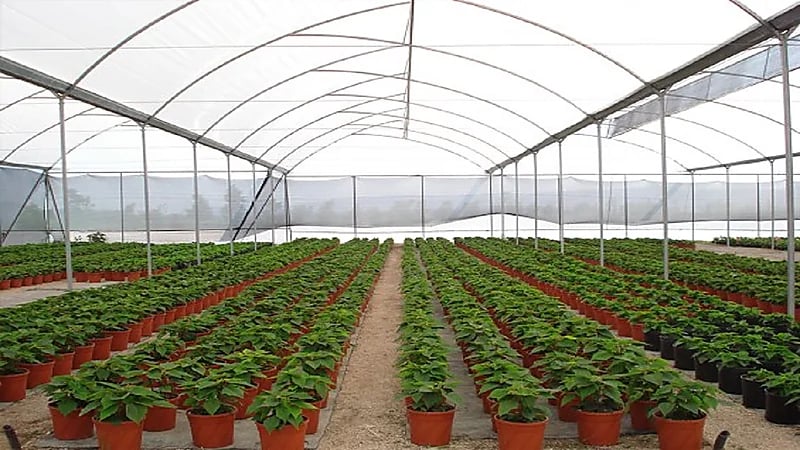 أمانة الرياض: إغلاق 191 مشتلاً لم تلتزم بالضوابط والتعليمات