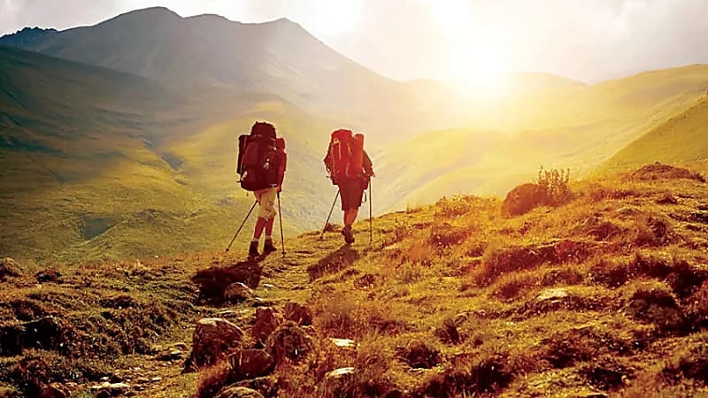 النمر: السفر لمناطق جبلية مرتفعة يرفع الضغط في الشخص السليم
