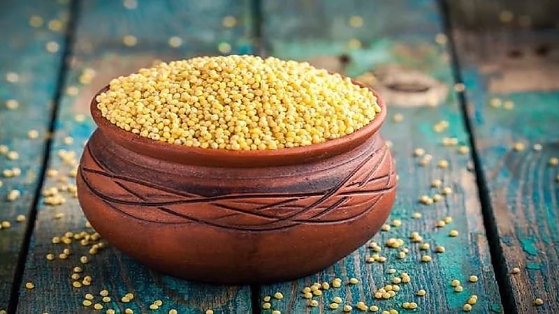 أخصائي تغذية ينصح المصابين بحساسية القمح بتناول الدخن