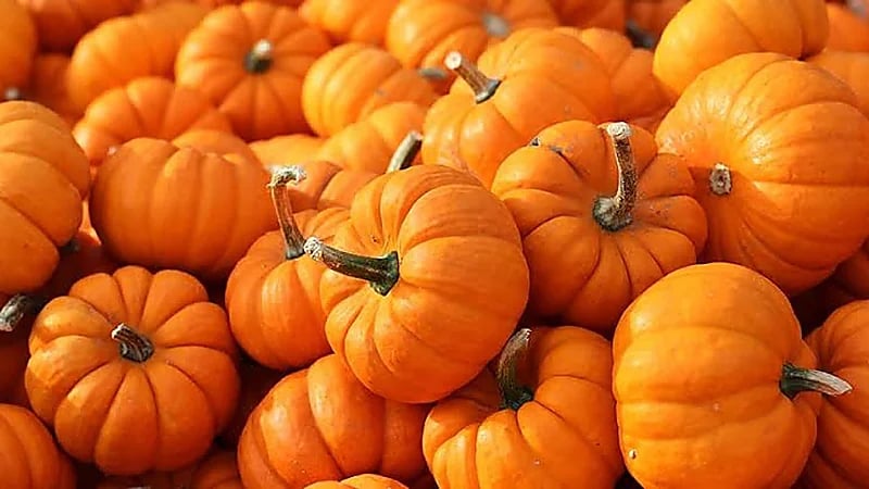 مكون واحد يكمن فيه السر للوقاية من اليوريا والكوليسترول والسكر والدهون الثلاثية