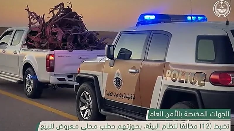 ضبط (53) مخالفًا لنظام البيئة في عدد من مناطق المملكة خلال أسبوع (فيديو)