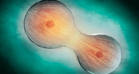 علاج جديد يعيد الشباب للمسن