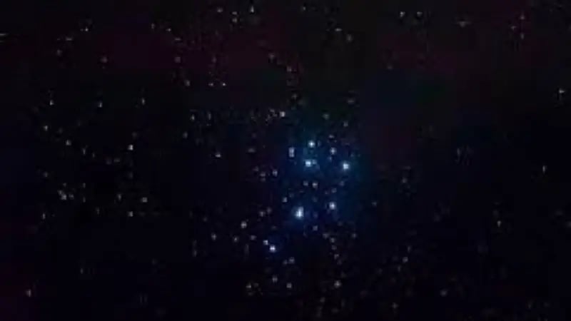 الحصيني: موسم الكنة بدايته يوم الثلاثاء القادم