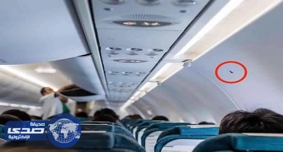 ملصقات سوداء على الطائرة تثير الدهشة