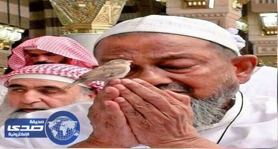 مشاهدة قياسية لصورة مصلي بالحرم