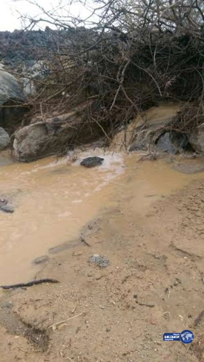 هطول أمطار خفيفة إلى متوسطة على غرب العيص..والدفاع المدني يحذر
