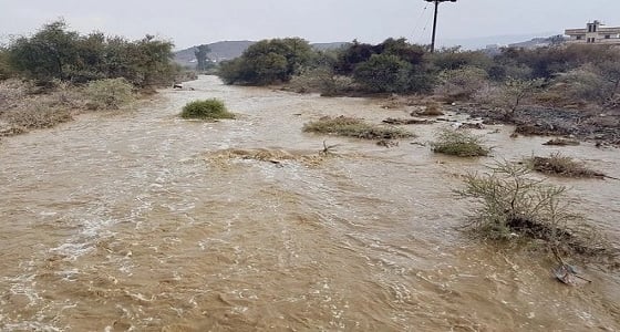 صور.. هطول أمطار غزيرة على البشائر في عسير