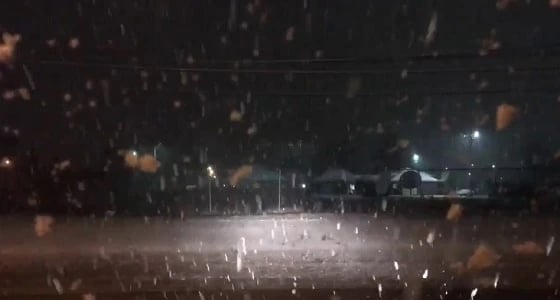 عواصف رعدية تتسبب في مصرع امرأة سبعينية بأمريكا