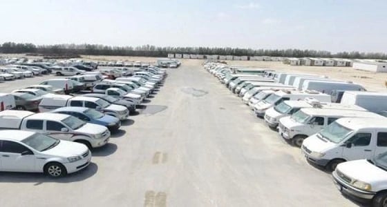 بالفيديو.. تفاصيل فعاليات مزاد " معن الصانع " الأول بالمنطقة الشرقية