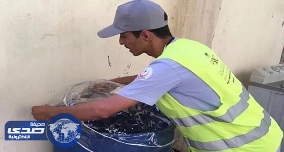 " الضنك " يهدد جدة بعد اكتشاف 33 ألف بؤرة للبعوض