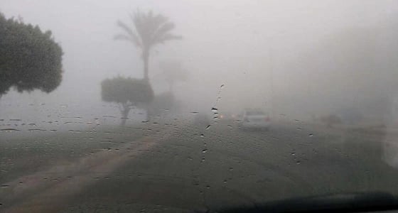 ” الأرصاد ” تحذر من رؤية غير جيدة في المنطقة الشرقية