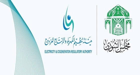 انتقاد لاذع من " الشورى " لـ " الكهرباء " : القطاع الجنوبي يعاني والشكاوى تتزايد