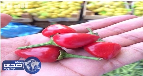 «إمارة جازان»: فلفل «الكرز» غير صالح للاستهلاك
