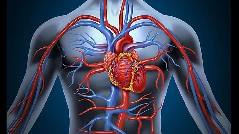 النمر : تضيق شريان بسيط قد يكون أخطر من 70%