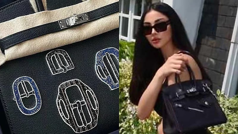 زينب العلوان ترد على فتاة انتقدت حقيبتها البيركن: اللي ما يطول العنب