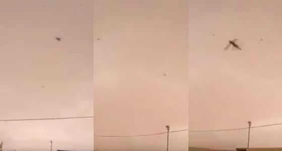 " البيئة " تكشف حقيقة المقطع المتداول بشأن جراد يغزو المملكة
