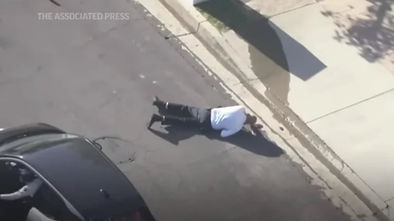 سرب من النحل يهاجم شرطياً ويرديه أرضاً.. فيديو