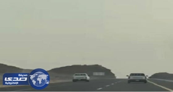 بالفيديو.. متهورون يقودون 3 سيارات بسرعة جنونية على طريق الرين بيشة