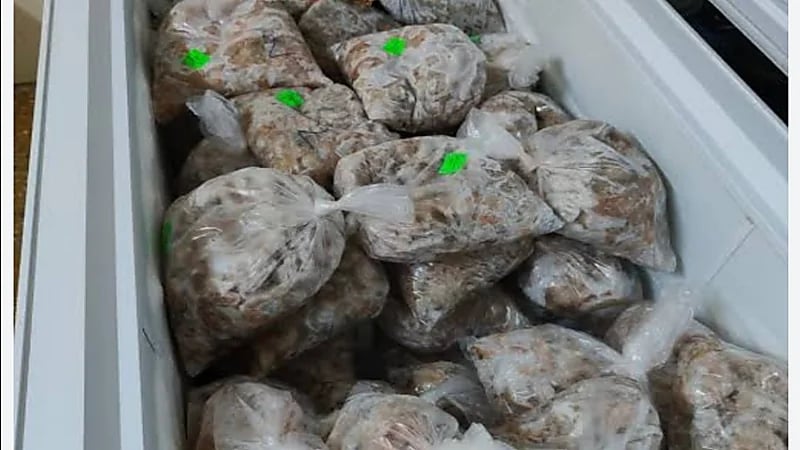 ضبط عمالة تحضّر الوجبات الرمضانية داخل دورات المياه في "أم السلم"