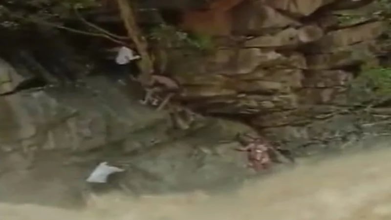 شاهد.. لحظة إنقاذ سيدة محاصرة مع طفلها بسبب تدفق شلالات 