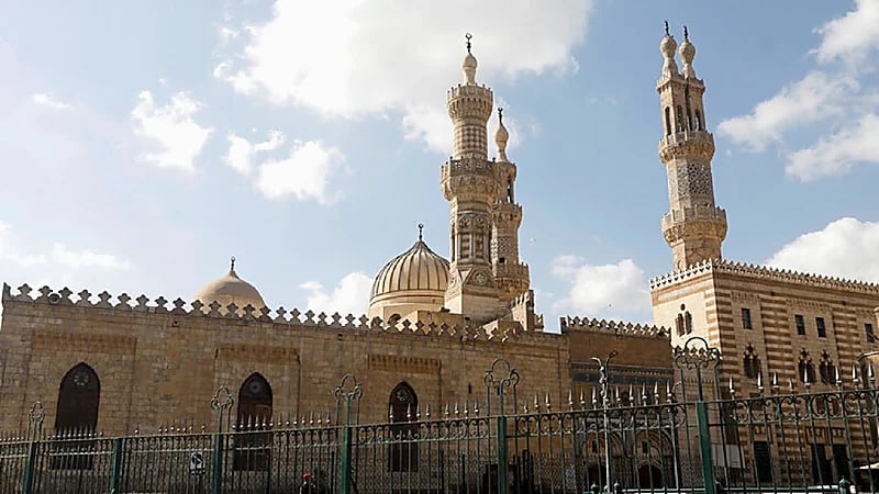 تعليق مفتي مصر الأسبق بشأن التداوي بأعضاء الخنزير