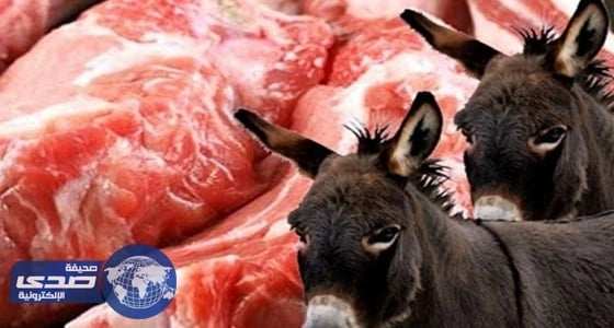 البرلمان المصري يناقش مشروع قانون يجرم بيع لحوم الحمير والكلاب