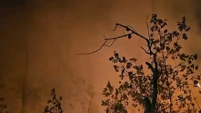 جهود مكثفة لإخماد حرائق ريف اللاذقية وسط تحديات الطبيعة والمخلفات الحربية.. فيديو