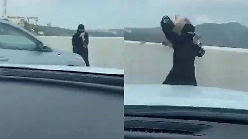 قرد يهاجم فتاة أثناء تصويرها للسحاب في مشهد محرج أمام الشباب .. فيديو