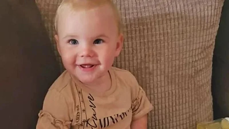 كلب يلتهم "طفلة" حتى الموت