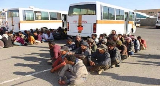 ضبط 951555 مخالفًا ضمن " وطن بلا مخالف "