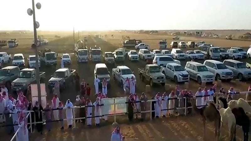 20 مليون ريال قيمة التداولات في مزاد عقلة الصقور