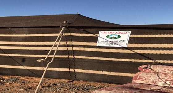 بالصور.. بلدية الروضة تواصل جولاتها على أصحاب المخيمات المخالفة بالثمامة