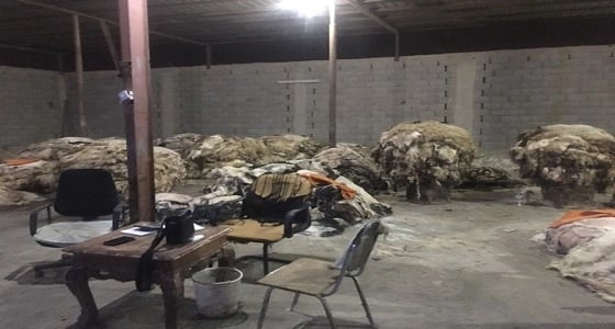 القبض على عمالة مخالفة بمستودعين لدبغ الجلود وحجز 5 سيارات بالرياض